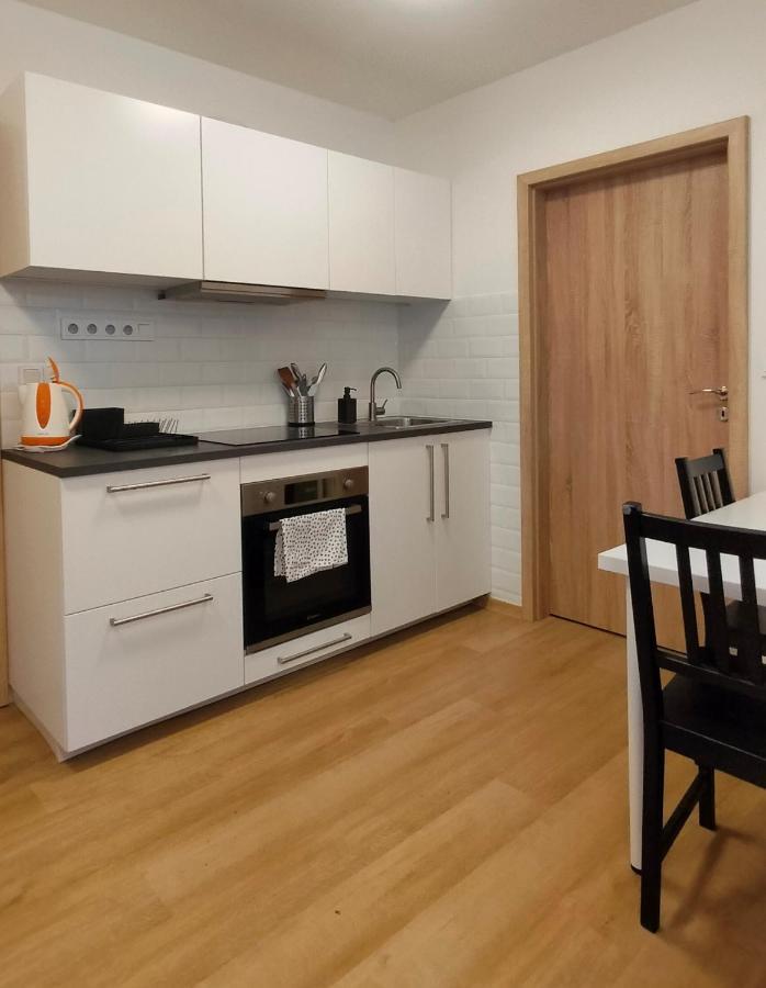 Apartment Stankova Μπρνο Εξωτερικό φωτογραφία